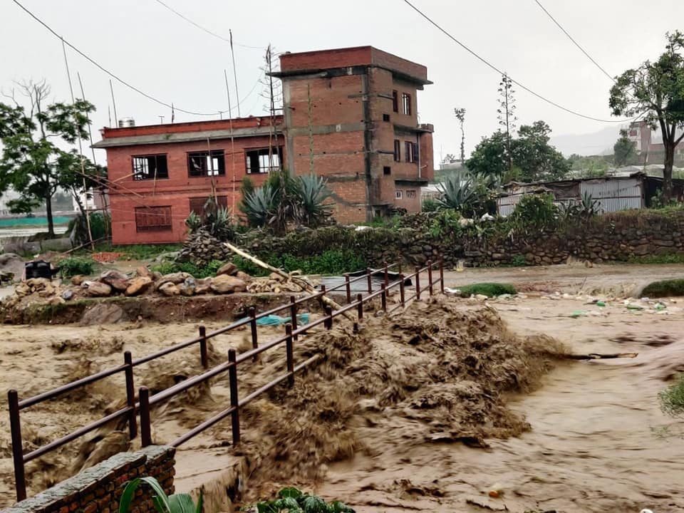 बाढीले पनौतीको कृषि क्षेत्रमा मात्रै करिब २० करोडको क्षति