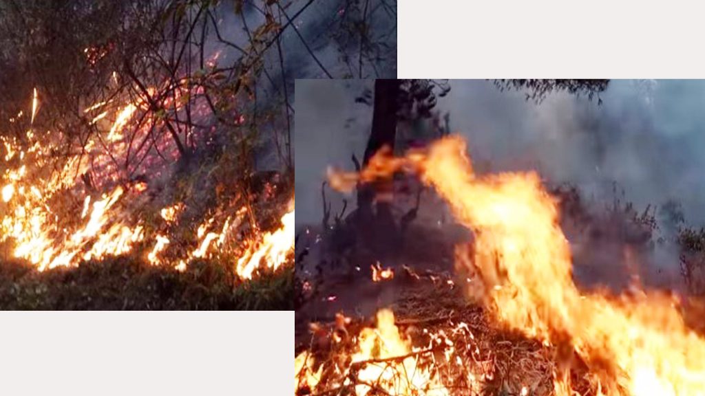 काभ्रेको बेथानचोकमा डढेलोले वन सखाप, तुॅंवालोले ढाक्यो गाउॅंबस्ती