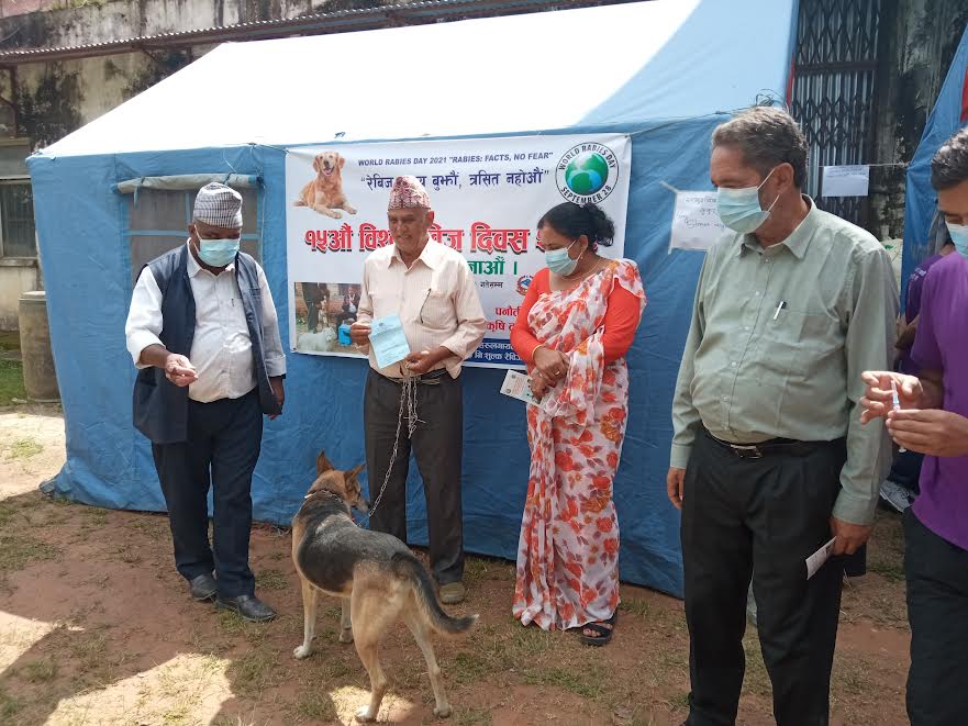 पनौती नगरपालिकामा एक सातासम्म कुकुरलाई निःशुल्क बन्ध्याकरण र रेबिज विरुद्धको खोप लगाईने