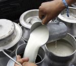 भारतबाट दूध ल्याउन कृषि मन्त्रालयले दियो अनुमति, दुग्ध उत्पादक सहकारी सङ्घहरुद्वारा विरोध
