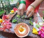 आज हरिशयनी एकादशी, तुलसीको बिरुवा रोपेर मनाईँदै