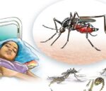 देशभर ६० जिल्लामा देखियो ‘डेंगु’, एक महिनामै ४ सय बिरामी