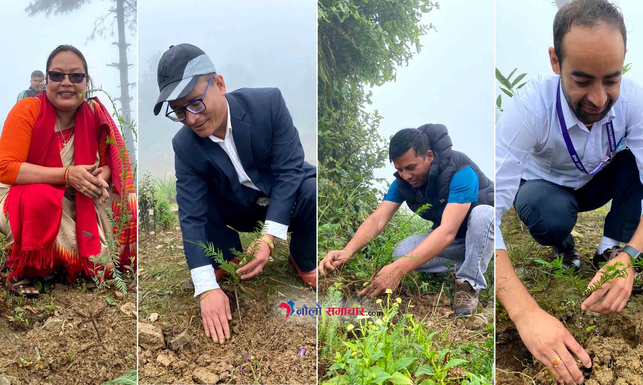 १९ औं निजामती सेवा दिवसको अवसरमा बेथानचोकमा बृक्षारोपण