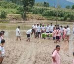 पाँचखाल र मण्डनदेउपुरमा ‘रोपाईं  महोत्सव’